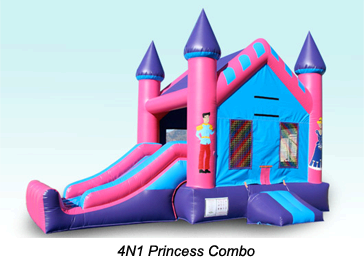 Tampa FL Princess Parties